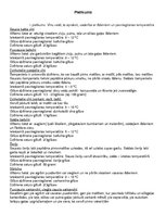 Paraugs 'Galda etiķete. Ēdienu pasniegšana kopā ar vīniem', 7.