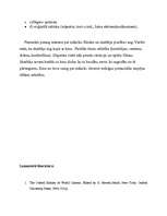 Konspekts 'Agrīnā kino izteiksmes līdzekļi', 7.