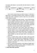 Konspekts 'Sadales loģistika', 6.