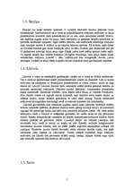 Referāts 'Latviešu zīmes un raksti', 5.