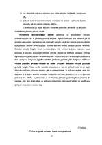 Referāts 'Krājumu raksturojums uzņēmumā', 11.