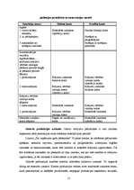 Referāts 'Krājumu raksturojums uzņēmumā', 12.