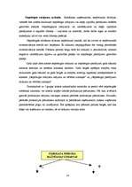 Referāts 'Krājumu raksturojums uzņēmumā', 14.