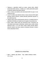 Referāts 'Krājumu raksturojums uzņēmumā', 20.