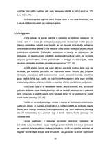 Diplomdarbs 'Darbinieku piesaistes un motivēšanas uzlabošanas iespējas uzņēmumā "BPO"', 14.