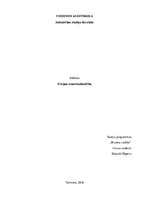 Referāts 'Eiropas komercsabiedrības', 1.