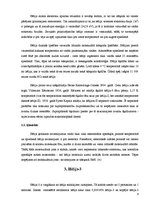 Referāts 'Cēlgāze - hēlijs', 8.