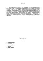 Referāts 'Kallu dzimtas telpaugi', 2.