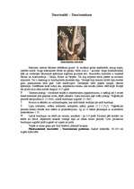 Referāts 'Kallu dzimtas telpaugi', 14.