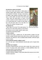 Referāts 'Futbols Talsos un Talsu rajonā', 22.