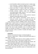 Referāts 'Ekotūrisma ilgtspējīga attīstība Latvijā', 4.