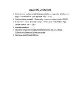 Referāts 'Ekotūrisma ilgtspējīga attīstība Latvijā', 6.