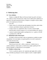 Biznesa plāns 'Biznesa plāns par skaistumkopšanas salonu', 11.