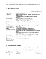 Biznesa plāns 'Biznesa plāns par skaistumkopšanas salonu', 18.