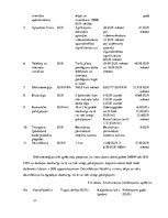 Biznesa plāns 'Biznesa plāns par skaistumkopšanas salonu', 21.