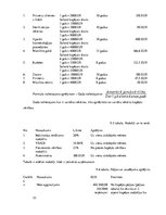 Biznesa plāns 'Biznesa plāns par skaistumkopšanas salonu', 22.