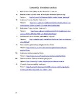 Biznesa plāns 'Biznesa plāns par skaistumkopšanas salonu', 27.