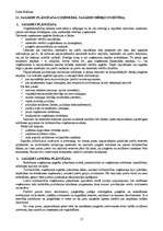 Konspekts 'Ekonomika', 17.