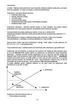 Konspekts 'Ekonomika', 45.