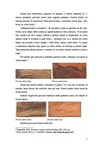 Referāts 'Plūmes koksne', 5.