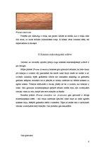 Referāts 'Plūmes koksne', 6.