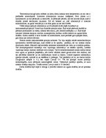 Paraugs 'Atskaite', 2.