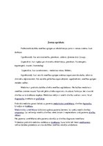 Paraugs 'Profesijas apraksts - kosmētiķis', 4.