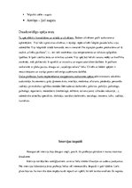 Paraugs 'Profesijas apraksts - kosmētiķis', 11.