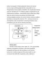 Referāts 'Joda ietekme uz cilvēka organismu', 3.