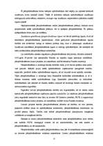 Referāts 'Pārapdrošināšana', 10.