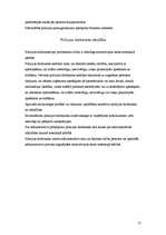 Referāts 'Likumdošana jauniešiem', 55.