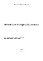 Referāts 'Mazumtirdzniecībā nopērkamā pirotehnika', 1.