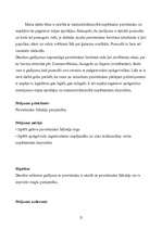 Referāts 'Mazumtirdzniecībā nopērkamā pirotehnika', 3.