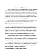 Eseja 'Intervija ar marginalizētu personu (bāreni)', 1.