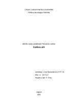 Referāts 'Vadības stili', 1.