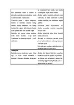 Konspekts 'Konspekts matemātikas nodarbībai', 2.