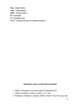 Prakses atskaite 'Ražošanas prakses atskaite', 19.