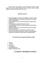 Prakses atskaite 'Futbola trenera mācību prakses pārskats', 8.