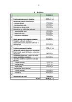 Referāts 'Informatīvie pasākumi par fiziskās kultūras un sporta aktivitāšu iespējām - proj', 15.