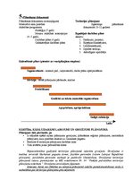 Konspekts 'Teritorijas plānojums', 4.