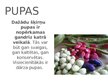 Prezentācija 'Pākšaugi', 10.