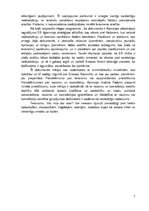 Referāts 'Terorisms virtuālajā vidē', 7.