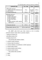 Referāts 'Bērnu laukuma būvēšana', 11.