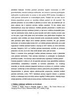 Referāts 'Politikas veidošanas problēmas ANO drošības padomē', 5.