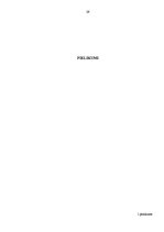 Referāts 'Izpratnes par ētiskajām vērtībām apguve sociālajās zinībās', 29.