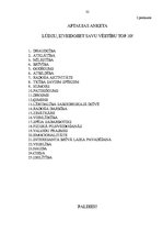 Referāts 'Izpratnes par ētiskajām vērtībām apguve sociālajās zinībās', 32.