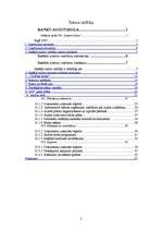 Referāts 'Iekšējais audits', 2.