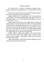 Referāts 'Iekšējais audits', 3.