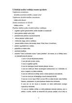 Referāts 'Iekšējais audits', 5.