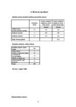 Referāts 'Iekšējais audits', 12.